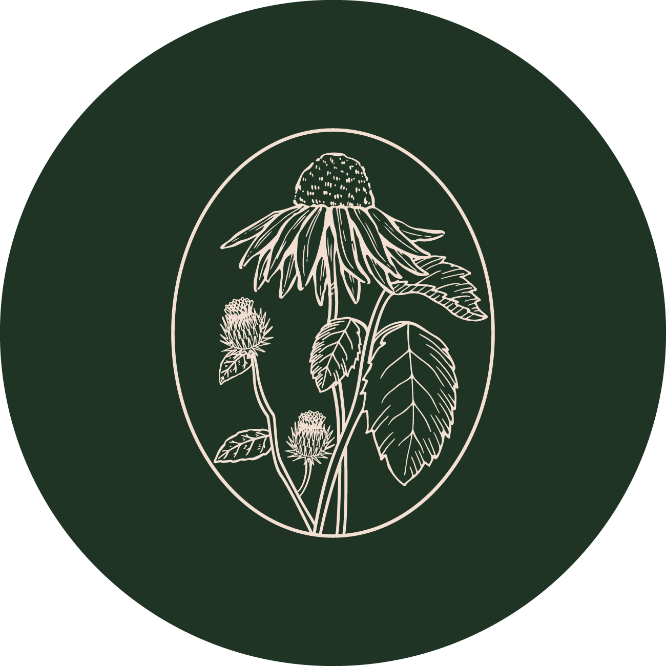 Erba